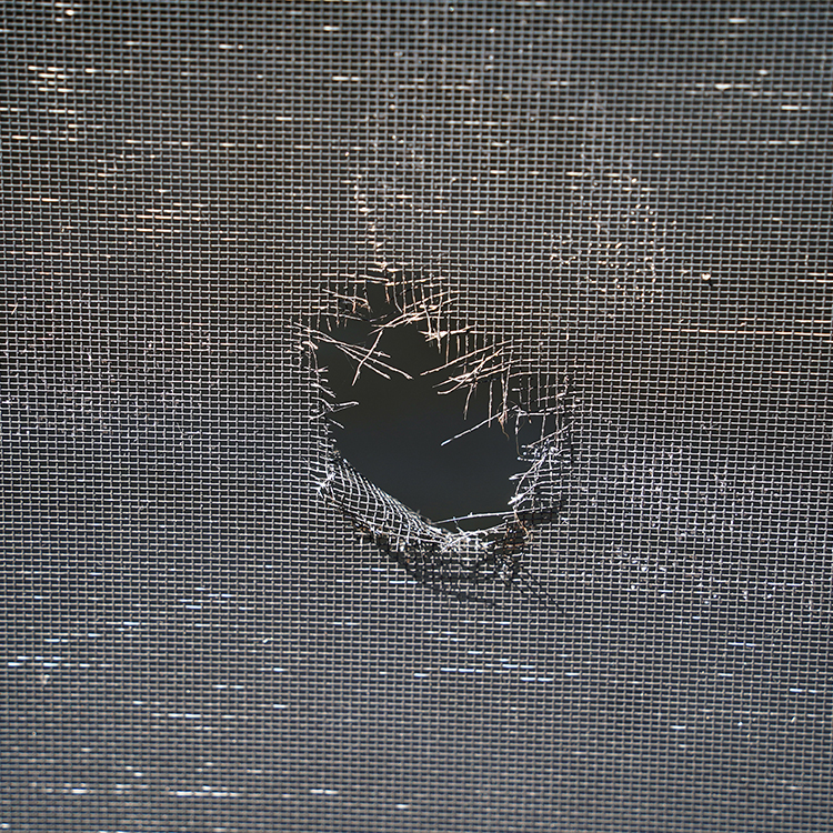Window screens
