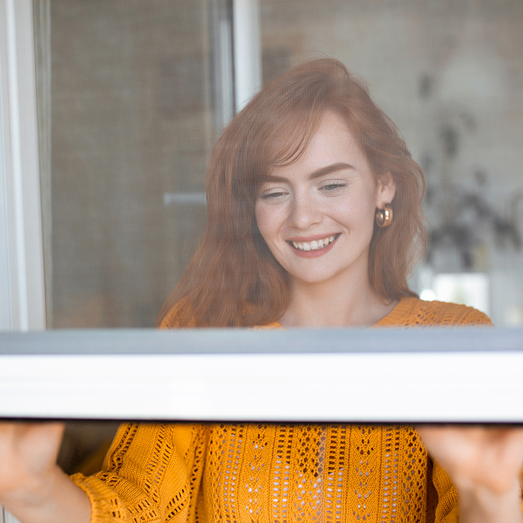Window screens